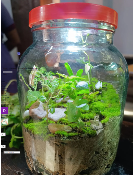 Terrarium