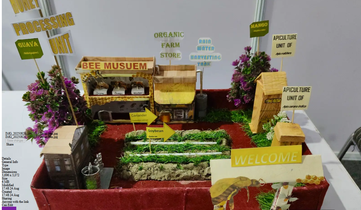 Bee Tourism